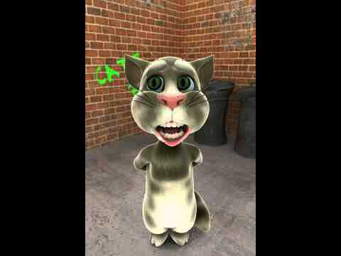 Talking tom cat singing like peter chao
