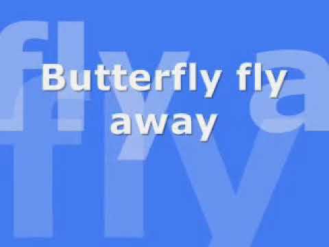 Miley Cyrus- Butterfly fly away